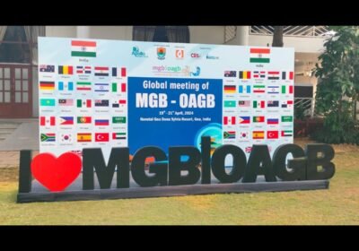 Experts Call for Global Standardization of MGB/OAGB Surgery